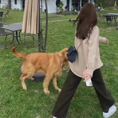 骇故事之女舍惊魂
